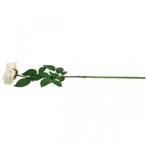 Artikel Krämig vit aprikosros, sidenblomma, konstgjorda rosor L72cm Ø12cm
