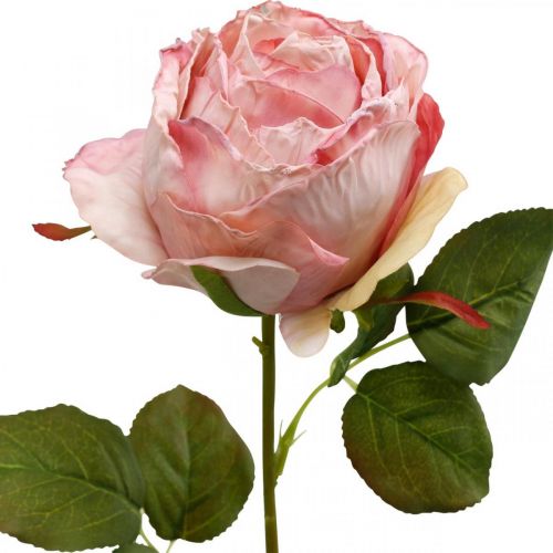 Floristik24 Deco rosa rosa, blomsterdekoration, konstgjord ros L74cm Ø7cm