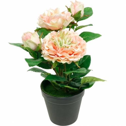 Artikel Dekorativ ros i kruka, romantiska sidenblommor, rosa pion