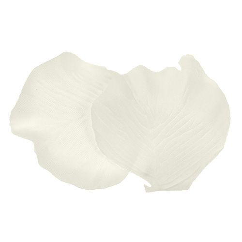 Floristik24 Roskronkräm 4,5 cm 144p