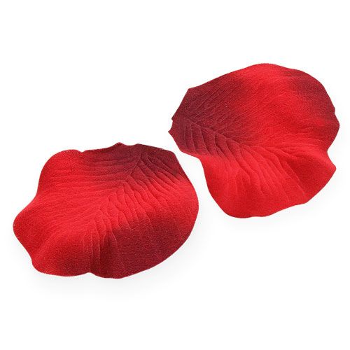 Floristik24 Scatter dekoration rosenblad röd 75st