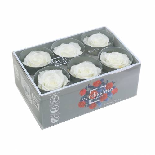 Artikel Infinity Roses Large Ø5,5-6cm Vit 6 st