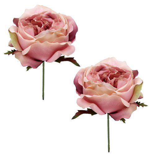 Floristik24 Rose head cream, rosa 17cm 4st