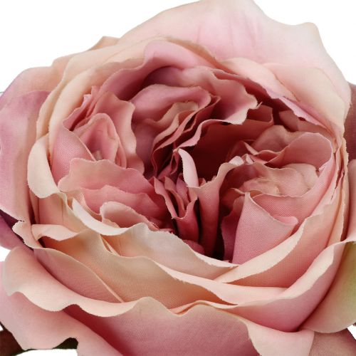 Floristik24 Rose head cream, rosa 17cm 4st