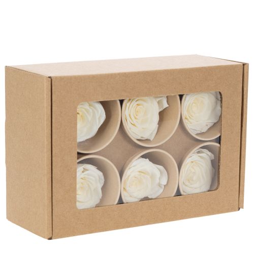 Artikel Konserverade rosenhuvuden, hållbar bordsdekoration för en romantisk atmosfär, bröllopsdekoration, 5 cm, 6 stycken