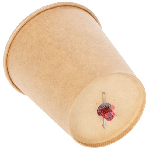 Artikel Konserverade rosor Dekorativ romantisk accent för vardagsrum eller bröllop 5 cm 6 st