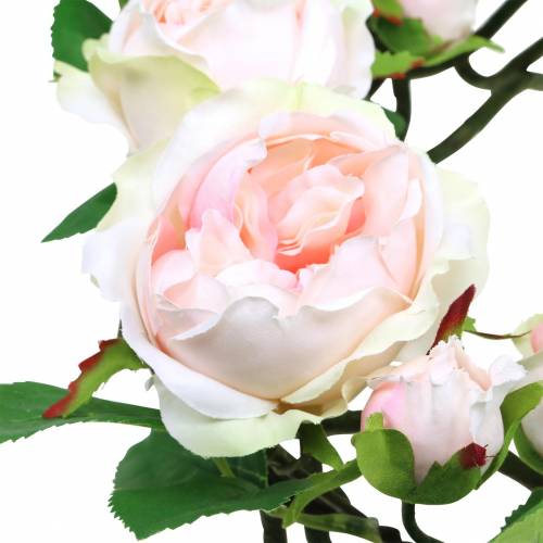 Floristik24 Radband rosa Ø35cm