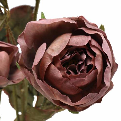 Floristik24 Konstgjord rosegrenviolett 76cm