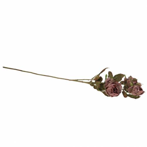 Floristik24 Konstgjord rosegrenviolett 76cm