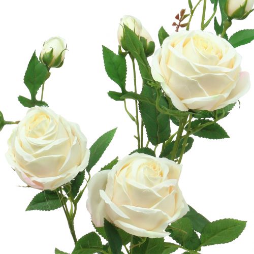 Artikel Rosgren crème / rosè 100cm