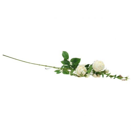 Artikel Rosgren crème / rosè 100cm