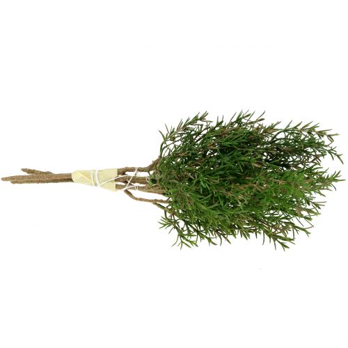 Floristik24 Rosmarin gren 36cm 3st
