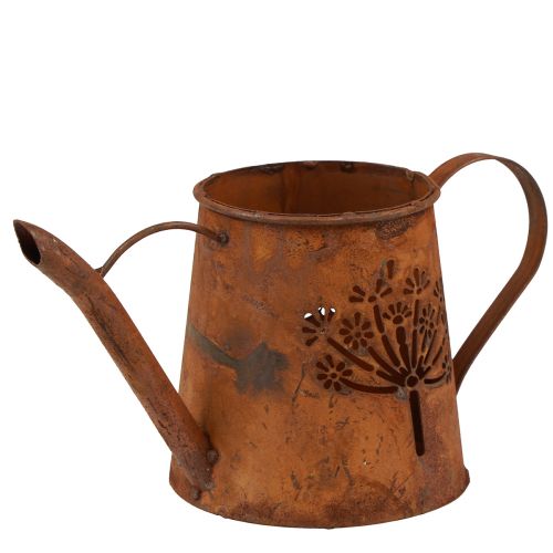 Floristik24 Rost dekorativ vattenkanna metallmaskros patina 25×12×12cm