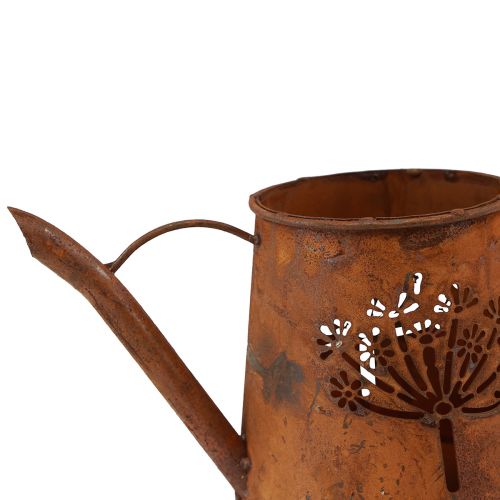 Floristik24 Rost dekorativ vattenkanna metallmaskros patina 25×12×12cm