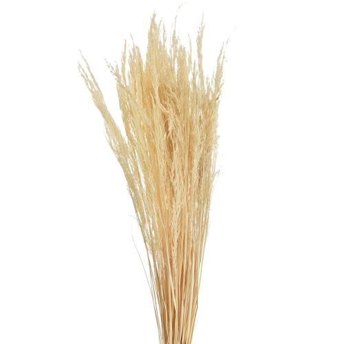 Artikel Böjt gräs Agrostis Capillaris Torrt gräs blekt 65cm 80g