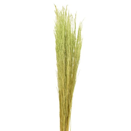 Artikel Böjt gräs Agrostis Capillaris Torrgräs Grön 65cm 80g