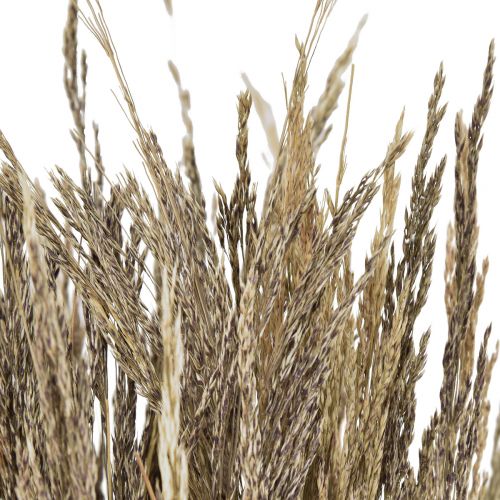 Artikel Böjt gräs Agrostis Capillaris Torrt gräs Natur 60cm 80g