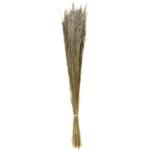Floristik24 Böjt gräs Agrostis Capillaris Torrt gräs Natur 60cm 80g