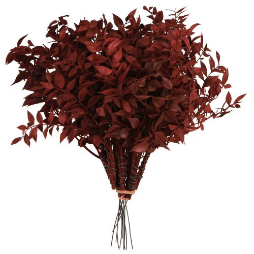 Artikel Ruscus Röd torkad på tråden dekorativa grenar 20cm 1 gäng