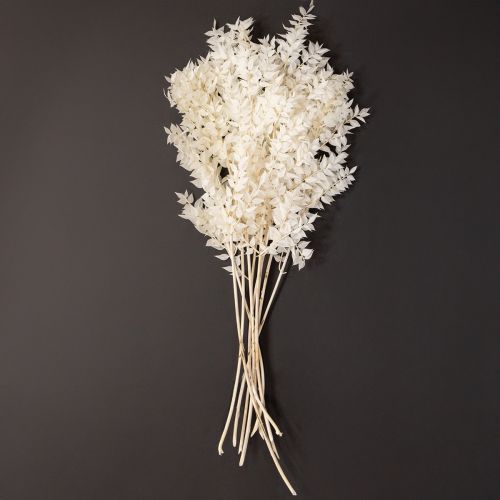 Artikel Ruscusgrenar dekorativa grenar torkade blommor blekta 10 st
