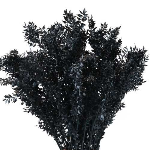 Artikel Ruscus torkade dekorativa grenar Ruscus Black 1kg