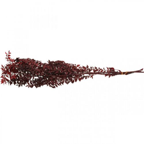 Floristik24 Torkad Ruscus, torr blommor, taggmyrtenröd L58cm 30g