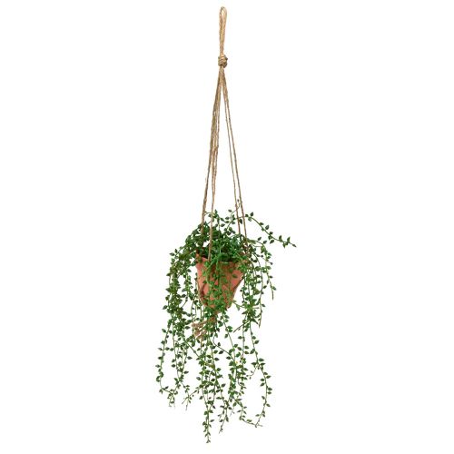 Floristik24 Konstgjorda suckulenter hängande konstgjord växt i kruka 34cm
