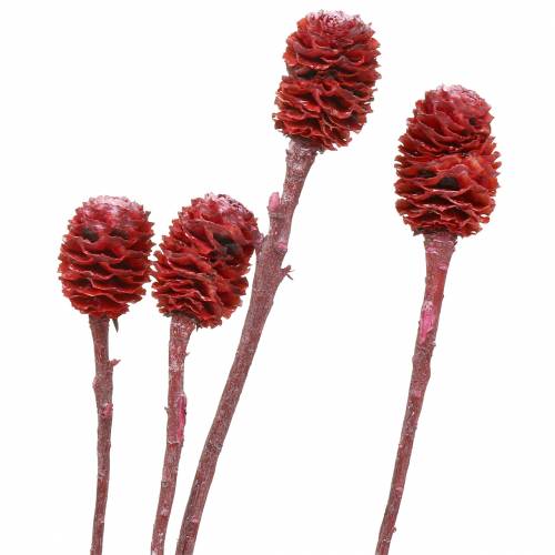 Artikel Deco grenar Sabulosum röd frostad 4-6 25 st