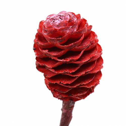 Artikel Deco grenar Sabulosum röd frostad 4-6 25 st