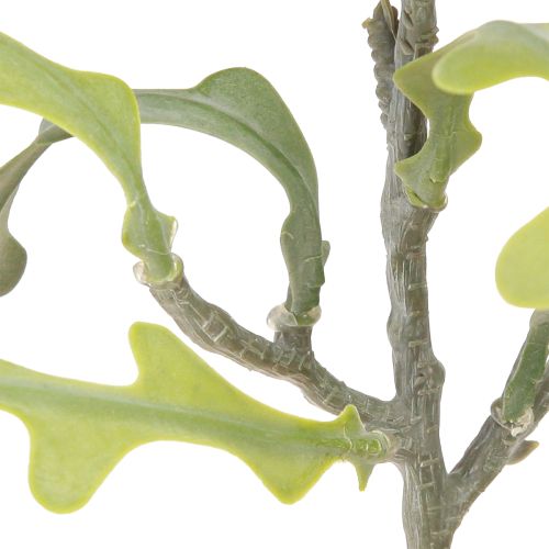Artikel Konstsågblad Cactus Epiphyllum anguliger L68cm 3 st