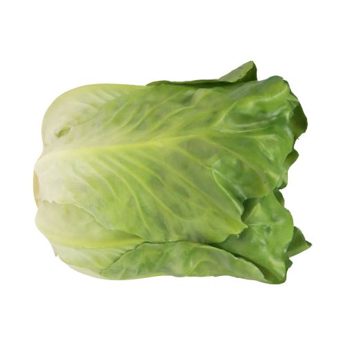 Floristik24 Salladshuvud grön dekorativ salladsmatdockor 14cm