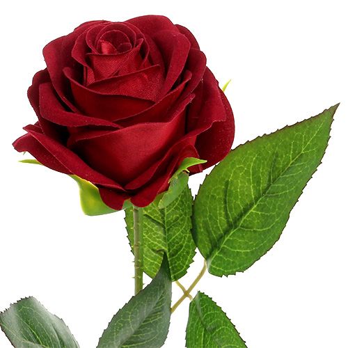 Floristik24 Sammet rosröd 65 cm 6st