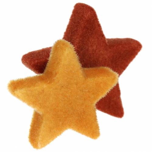 Floristik24 Strö dekoration stjärnmix flockad curry, rooibos 4cm/5cm 40 st