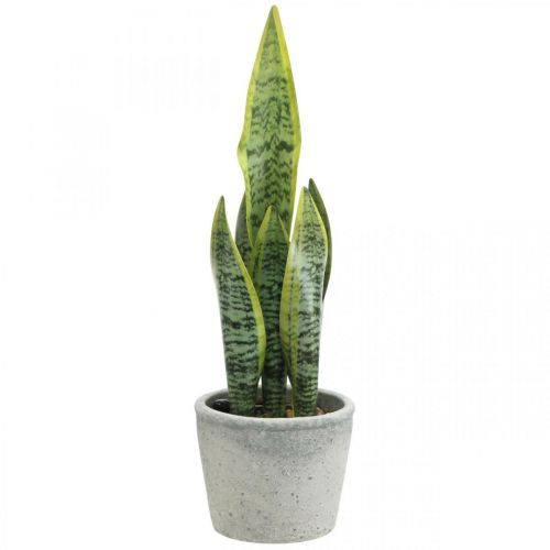 Floristik24 Konstgjord hampa, grön växt i kruka, Sansevieria H39cm Ø12cm