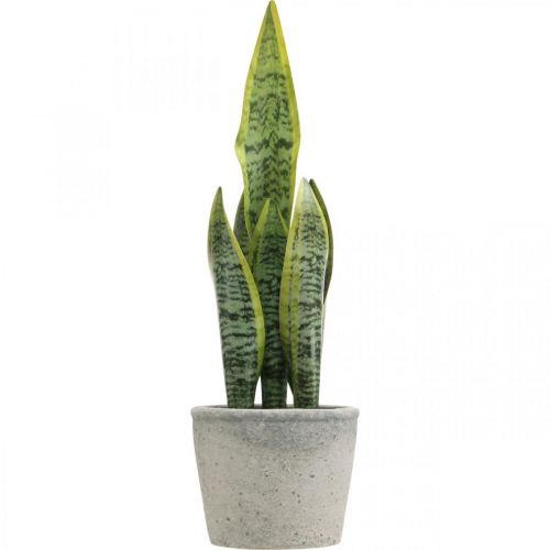 Floristik24 Konstgjord hampa, grön växt i kruka, Sansevieria H39cm Ø12cm