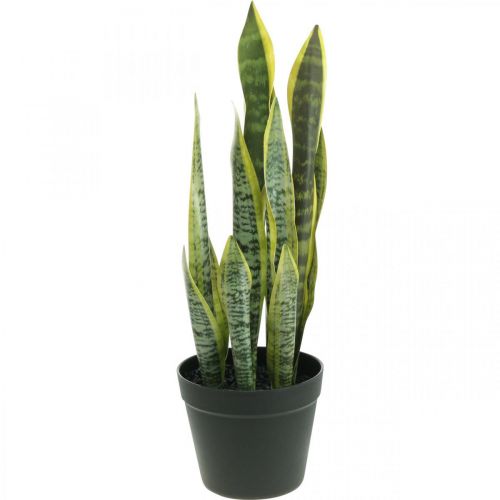 Floristik24 Sansevieria, konstgjord blomma, stråkhampa i kruka H50cm Ø14cm