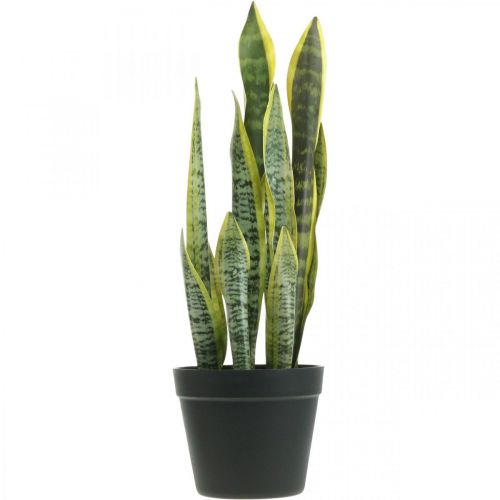 Floristik24 Sansevieria, konstgjord blomma, stråkhampa i kruka H50cm Ø14cm
