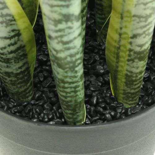 Artikel Sansevieria, konstgjord blomma, stråkhampa i kruka H50cm Ø14cm