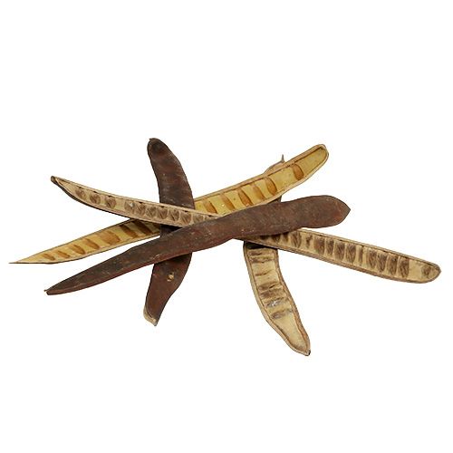 Artikel Scaletta pod naturell 25cm - 50cm 25 st