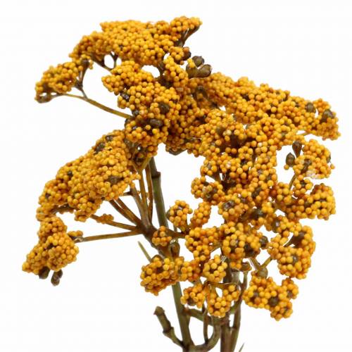 Floristik24 Yarrow konstgjord gul 74cm 3st