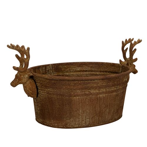 Dekorativ skål, renhuvud, oval, rostfärgad, rustik, 41 cm köpa | Floristik24.se