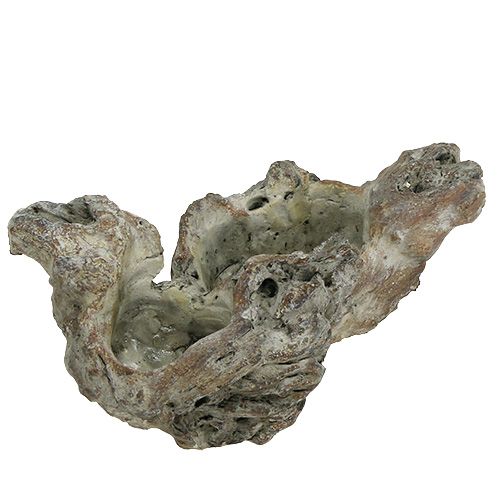 Floristik24 Skål trärot 25,5 cm x 14 cm H11,5 cm