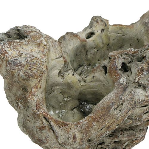 Floristik24 Skål trärot 25,5 cm x 14 cm H11,5 cm