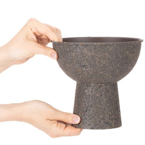 Rund växtskål med bas, 18 cm | Floristik24.se