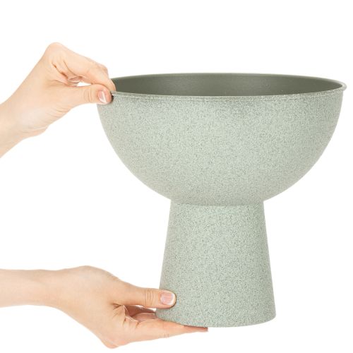 Skål med stativ för växter, dekorativ skål, 25 cm | Floristik24.se
