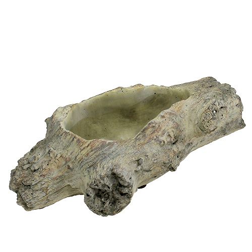 Floristik24 Skål för plantering 30cm x 13cm H8,5cm