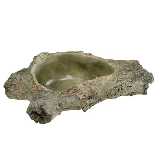 Floristik24 Skål för plantering 30cm x 13cm H8,5cm