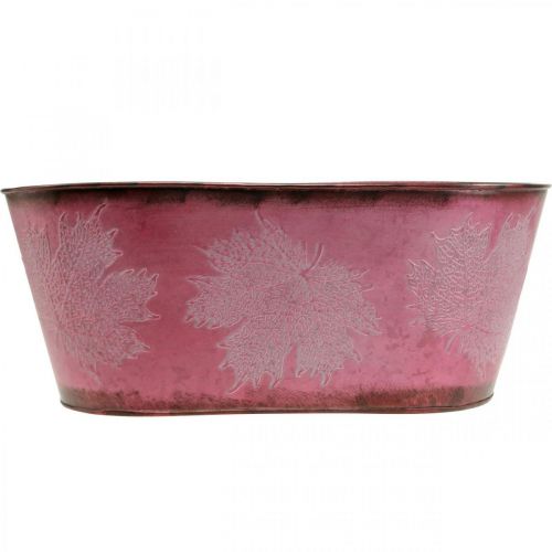 Artikel Skål med bladdekoration, planter, höstdekoration, metallkruka vinröd L38cm H15cm