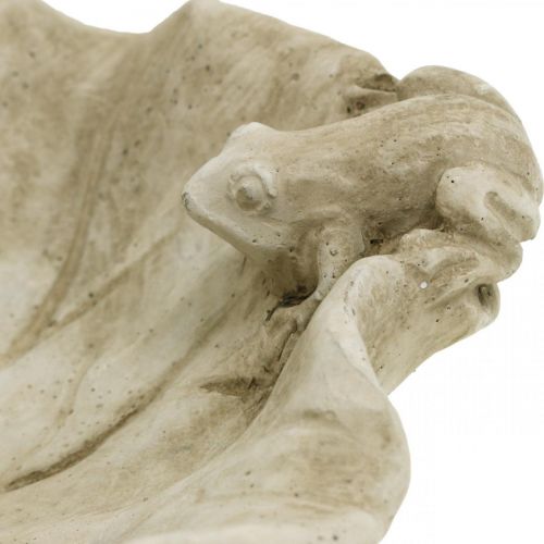 Artikel Fågelbad med grodor, trädgårdsfigur i betong, fågelbad lotusblad B21cm H7cm