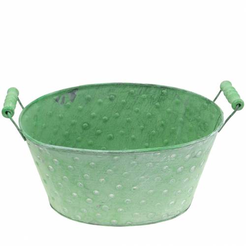 Floristik24 Dekorativ skålplanter metallgrön oval 25,5x18,5cm H13cm